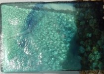 Pale green with blue swirls